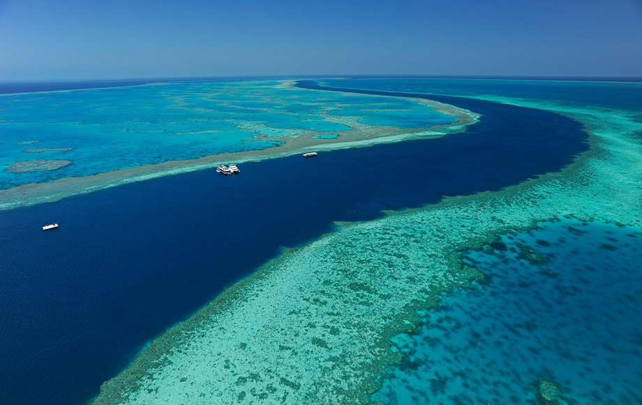 Great Barrier Reef in Tropical North Queensland